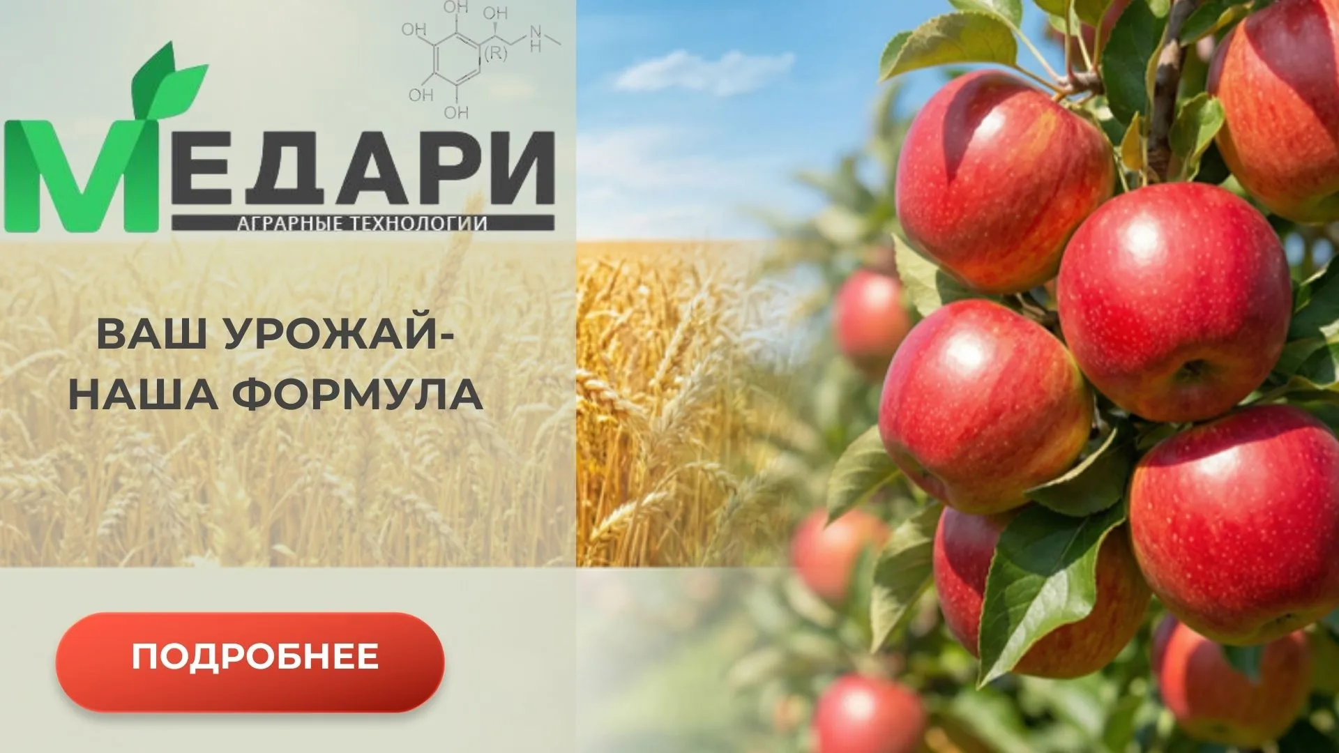 Главная